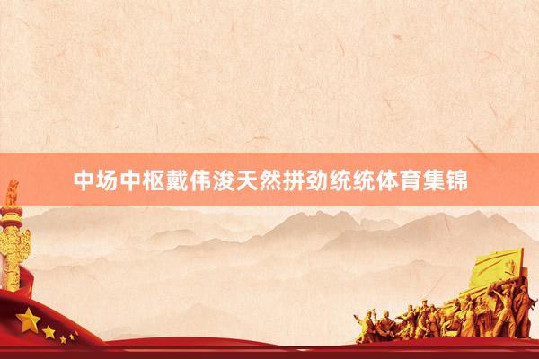 中场中枢戴伟浚天然拼劲统统体育集锦