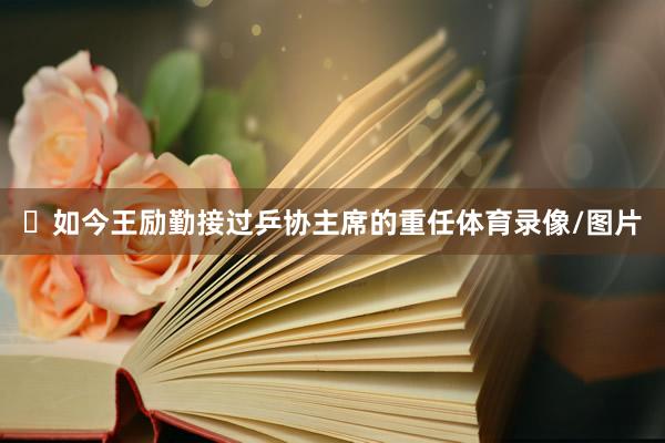 如今王励勤接过乒协主席的重任体育录像/图片
