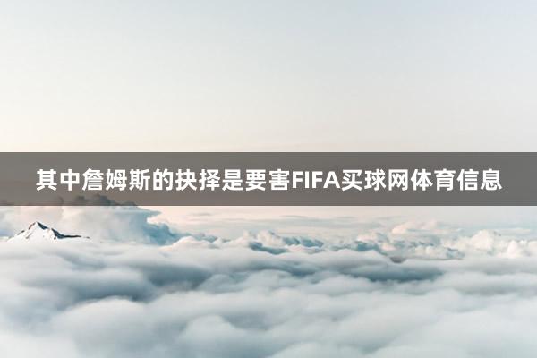 其中詹姆斯的抉择是要害FIFA买球网体育信息