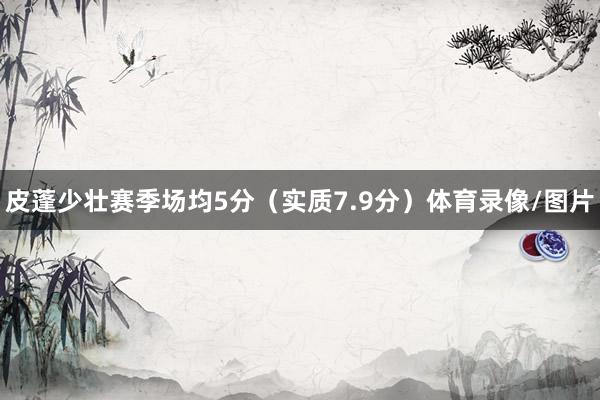 皮蓬少壮赛季场均5分（实质7.9分）体育录像/图片