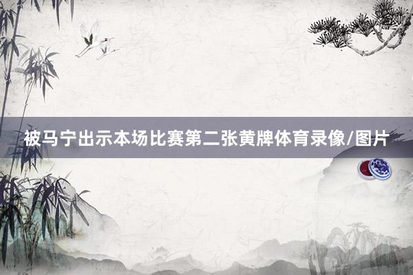 被马宁出示本场比赛第二张黄牌体育录像/图片