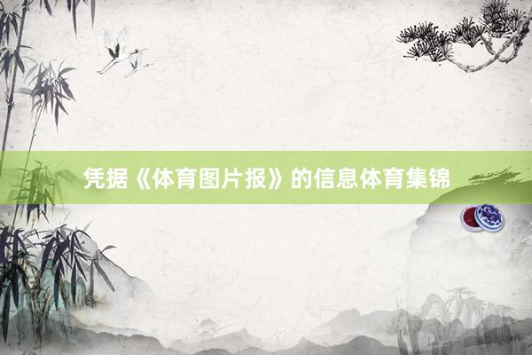 凭据《体育图片报》的信息体育集锦