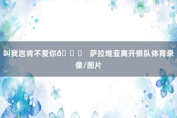叫我岂肯不爱你💛  萨拉维亚离开狼队体育录像/图片