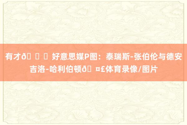 有才😂好意思媒P图：泰瑞斯-张伯伦与德安吉洛-哈利伯顿🤣体育录像/图片