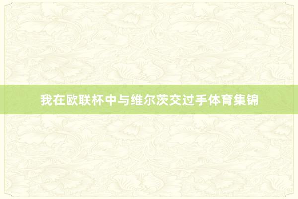 我在欧联杯中与维尔茨交过手体育集锦