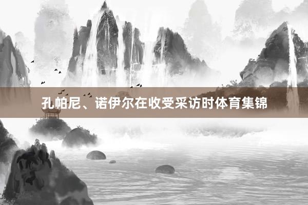 孔帕尼、诺伊尔在收受采访时体育集锦