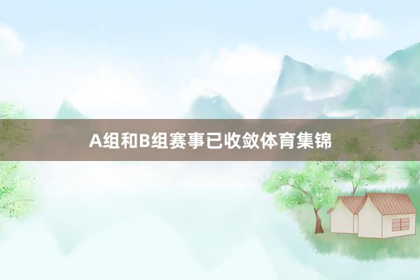 A组和B组赛事已收敛体育集锦