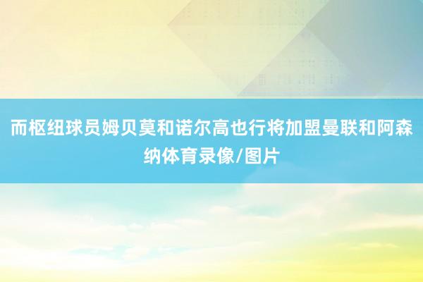 而枢纽球员姆贝莫和诺尔高也行将加盟曼联和阿森纳体育录像/图片