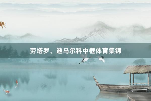 劳塔罗、迪马尔科中框体育集锦