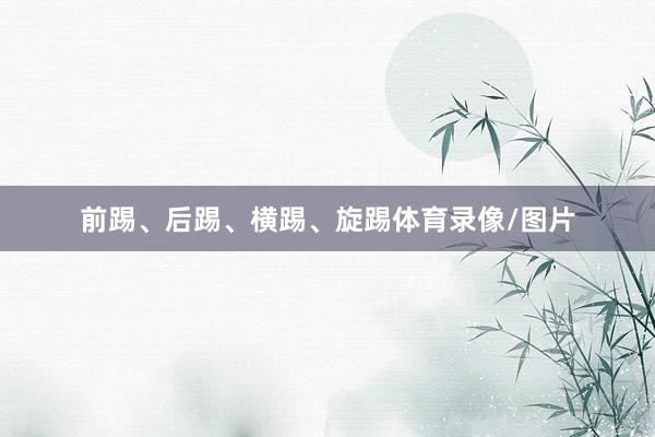前踢、后踢、横踢、旋踢体育录像/图片