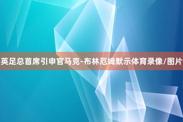 英足总首席引申官马克-布林厄姆默示体育录像/图片