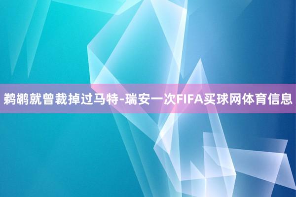 鹈鹕就曾裁掉过马特-瑞安一次FIFA买球网体育信息