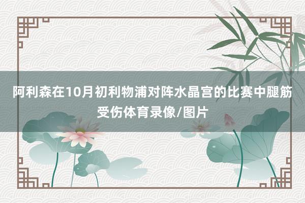 阿利森在10月初利物浦对阵水晶宫的比赛中腿筋受伤体育录像/图片