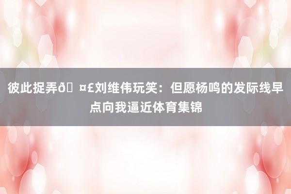 彼此捉弄🤣刘维伟玩笑：但愿杨鸣的发际线早点向我逼近体育集锦