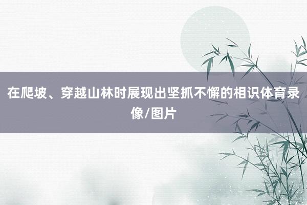 在爬坡、穿越山林时展现出坚抓不懈的相识体育录像/图片