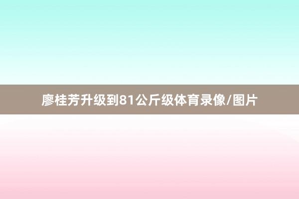 廖桂芳升级到81公斤级体育录像/图片