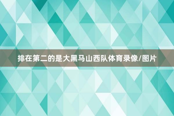 排在第二的是大黑马山西队体育录像/图片