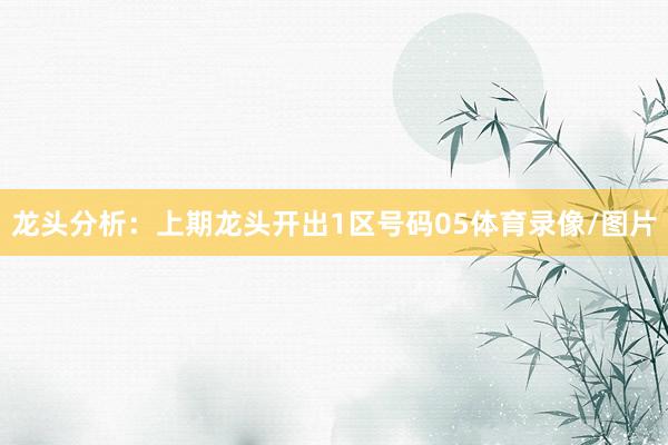 龙头分析：上期龙头开出1区号码05体育录像/图片