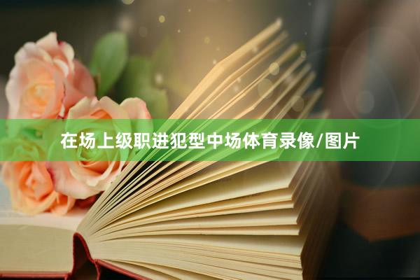 在场上级职进犯型中场体育录像/图片