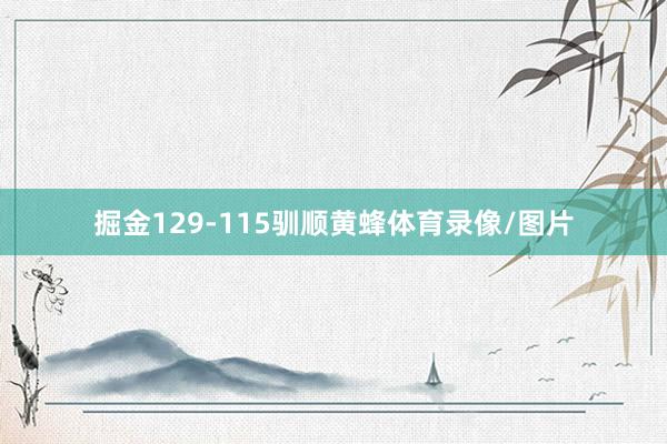 掘金129-115驯顺黄蜂体育录像/图片
